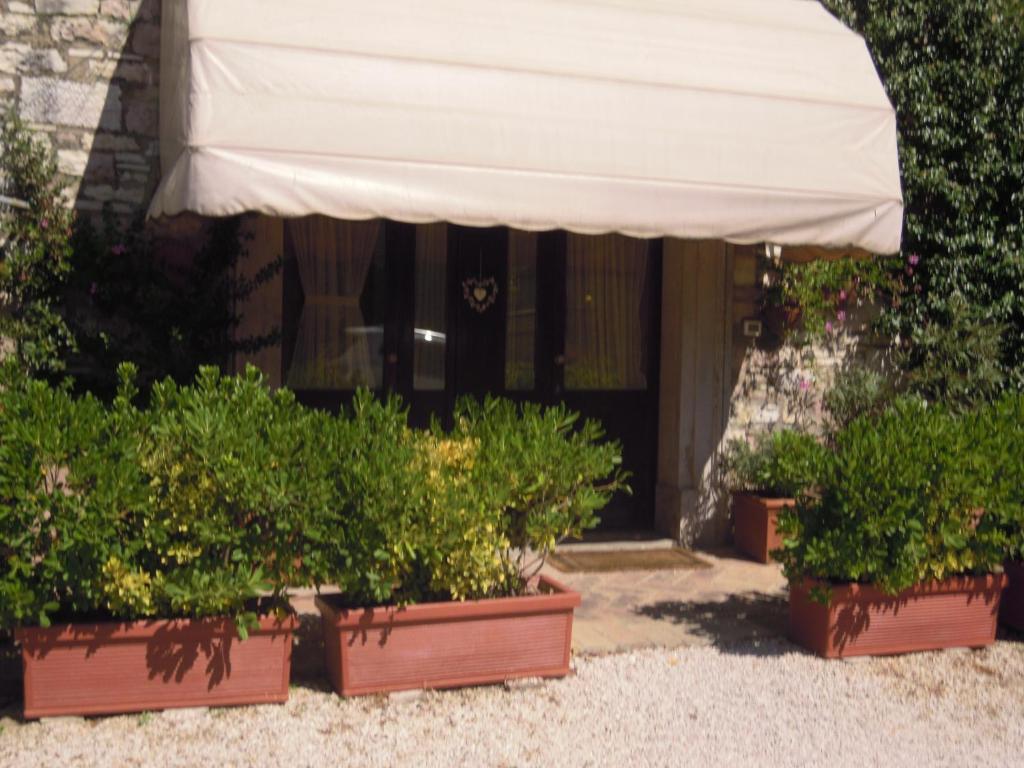 Il Turrione Appartement Assisi Buitenkant foto